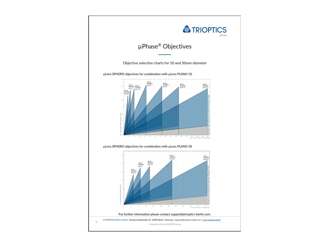 Thumbnail Flyer Objectives